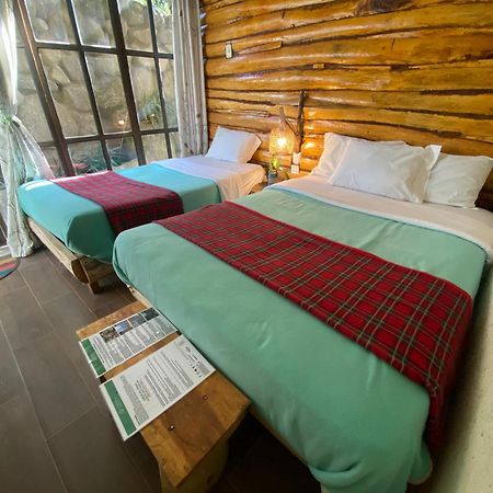 Eco Quechua Lodge Santa Teresa  Bagian luar foto