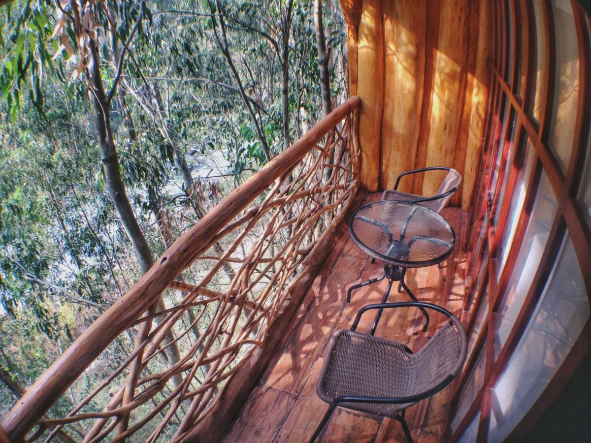 Eco Quechua Lodge Santa Teresa  Bagian luar foto