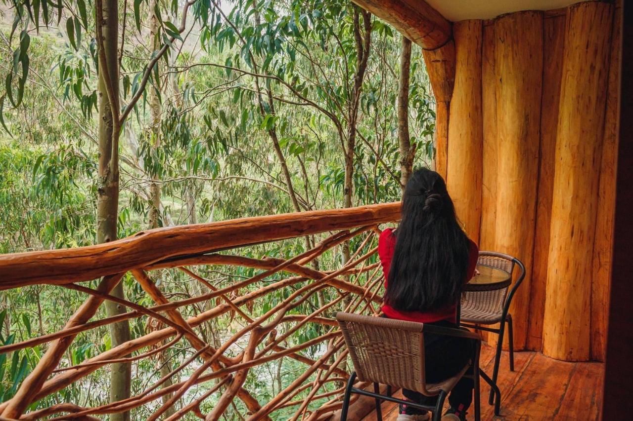 Eco Quechua Lodge Santa Teresa  Bagian luar foto